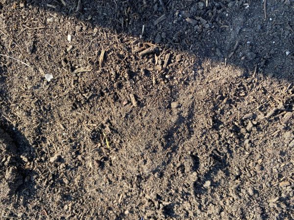 Recro compost (0-8 mm)